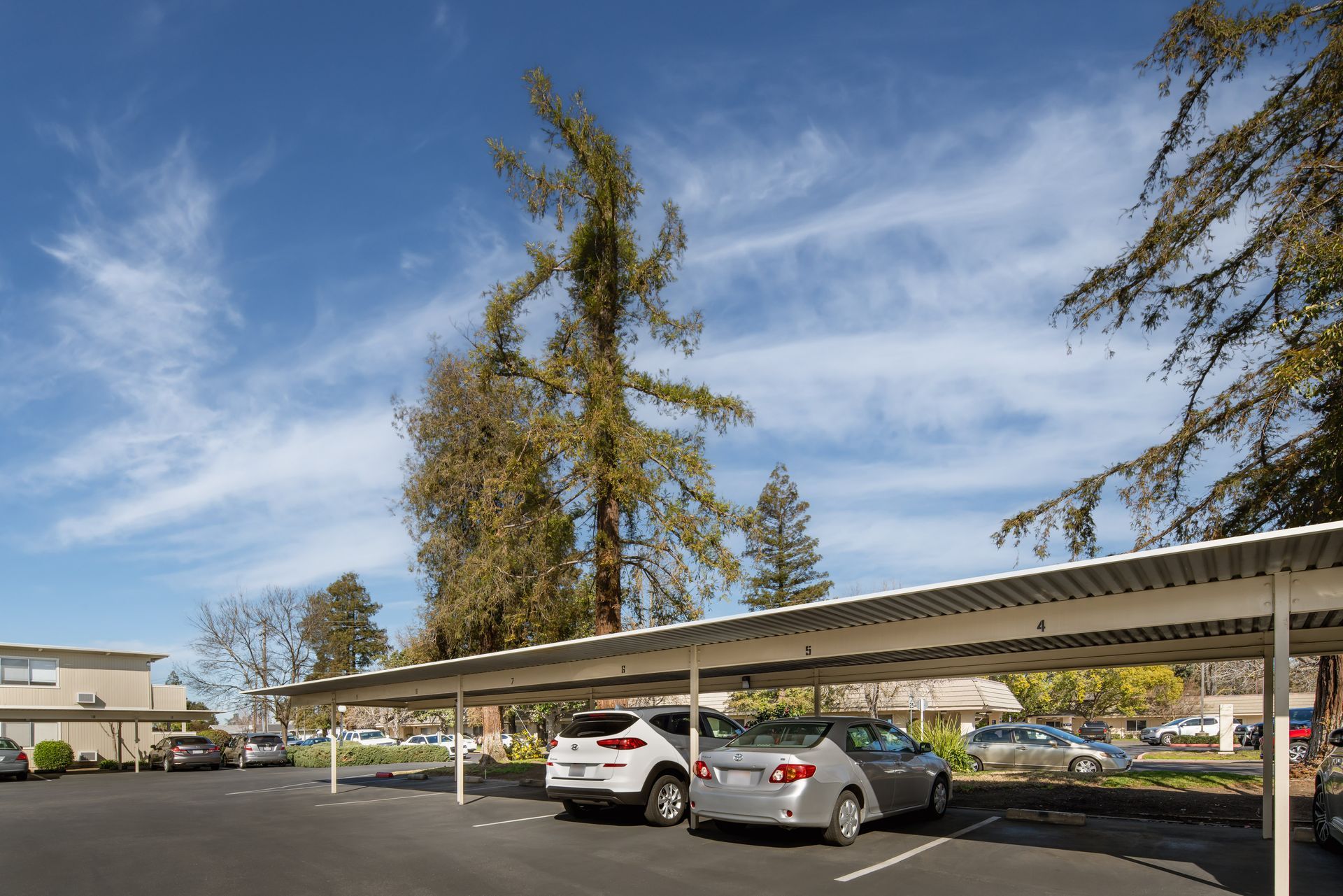Cars parked under a metal carport, with trees and buildings under a blue sky.