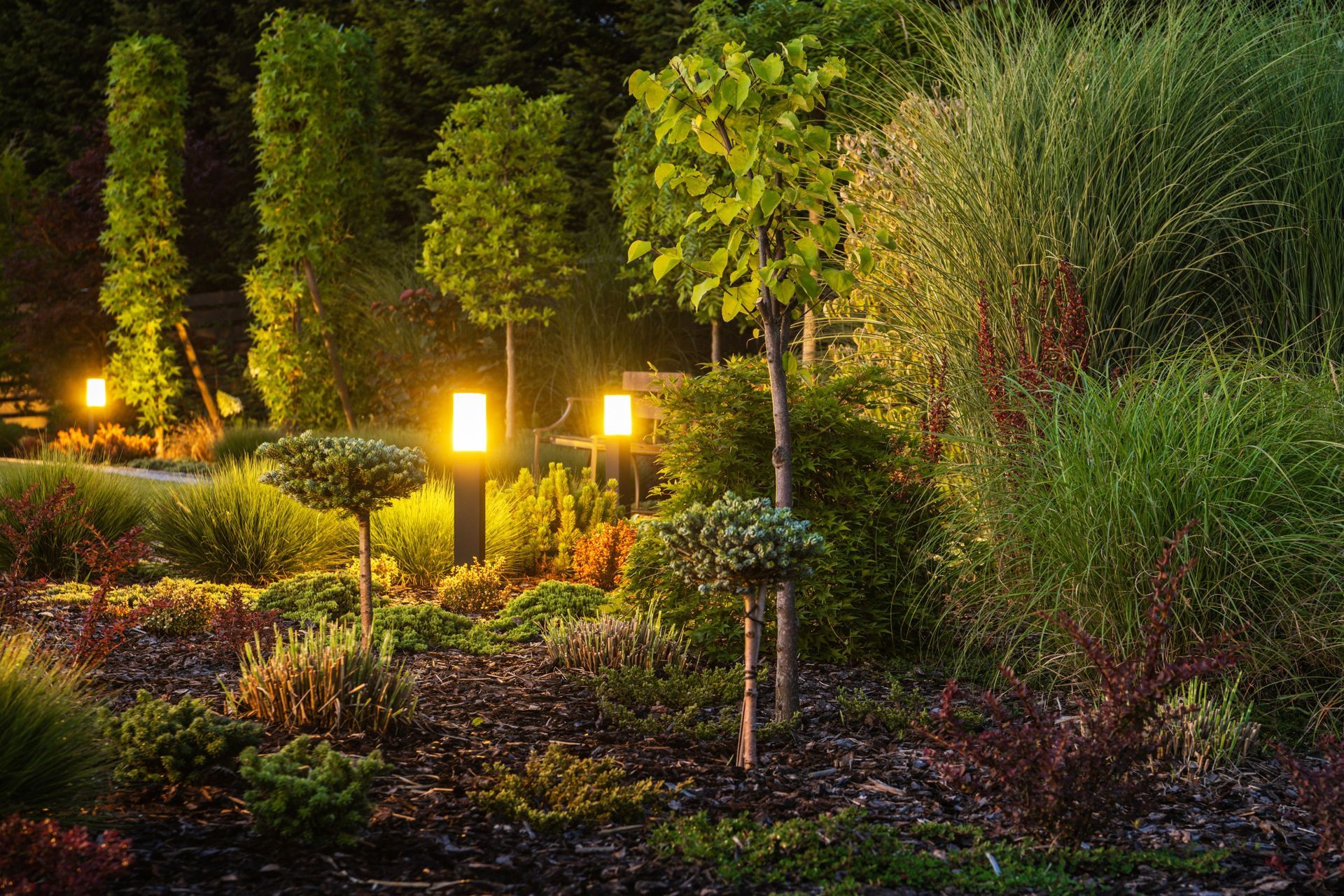 Illuminated landscaped garden at night with glowing path lights, shrubs, and tall trees Illuminated landscaped garden at night with glowing path lights, shrubs, and tall trees