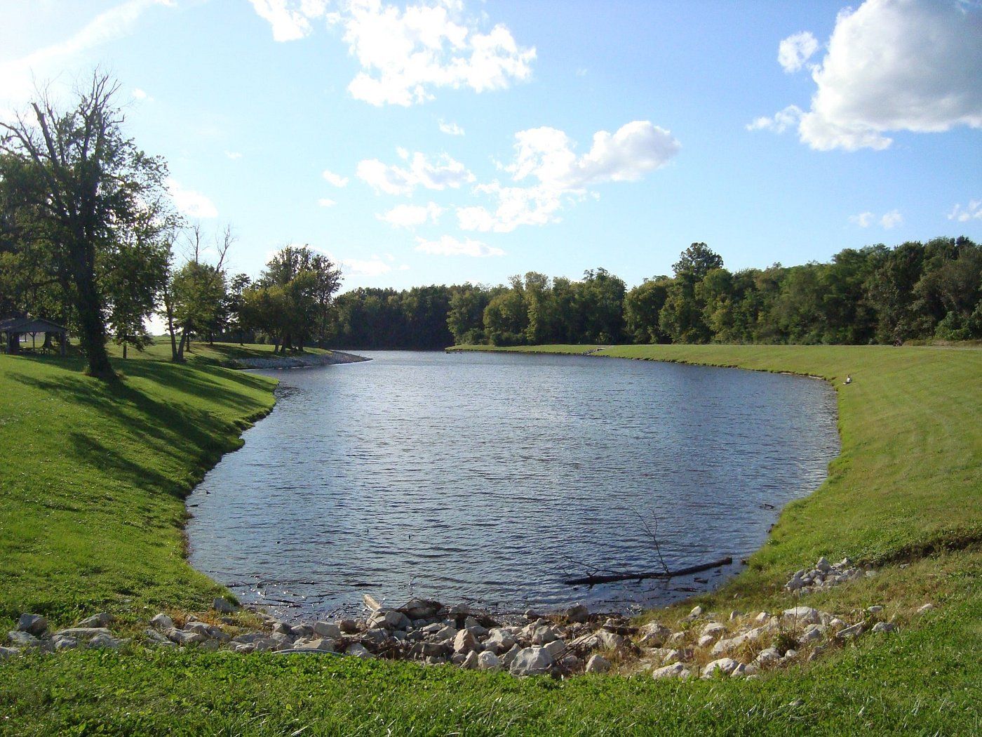Small pond with rippling water, grassy banks, trees, and a bright blue sky with clouds