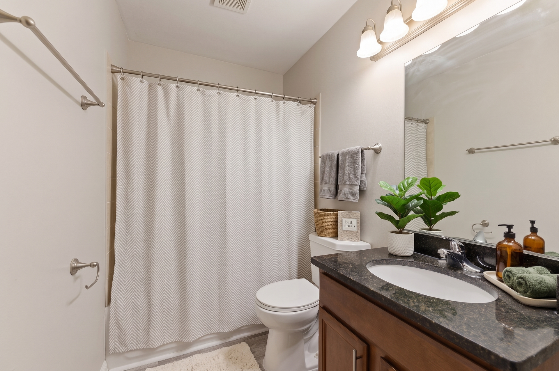 Bathroom with shower curtain, toilet, vanity sink, and decorative plants on the counter.