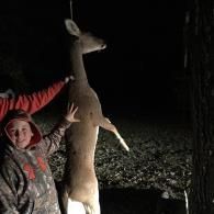 deer