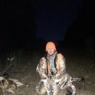 deer