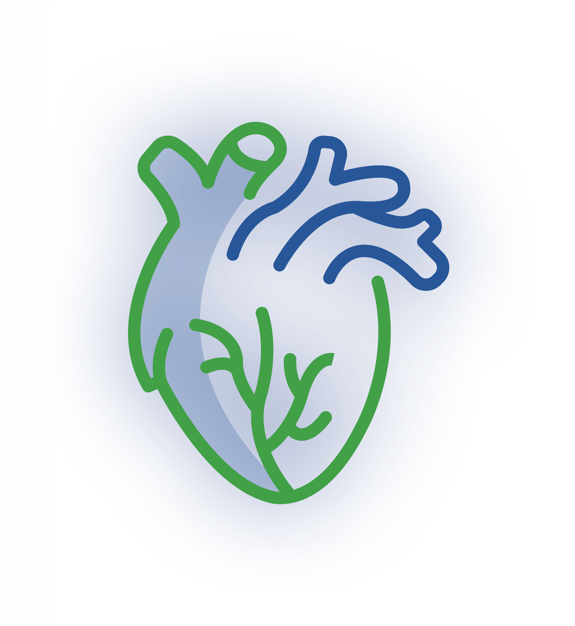 A stylized heart icon outlined in green with a blue shaded interior and branching vessel details.