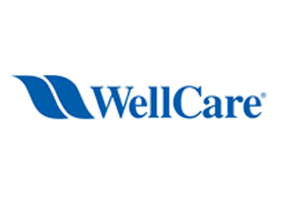 Blue WellCare company logo featuring two stylized leaves on the left and the brand name in blue text on the right.