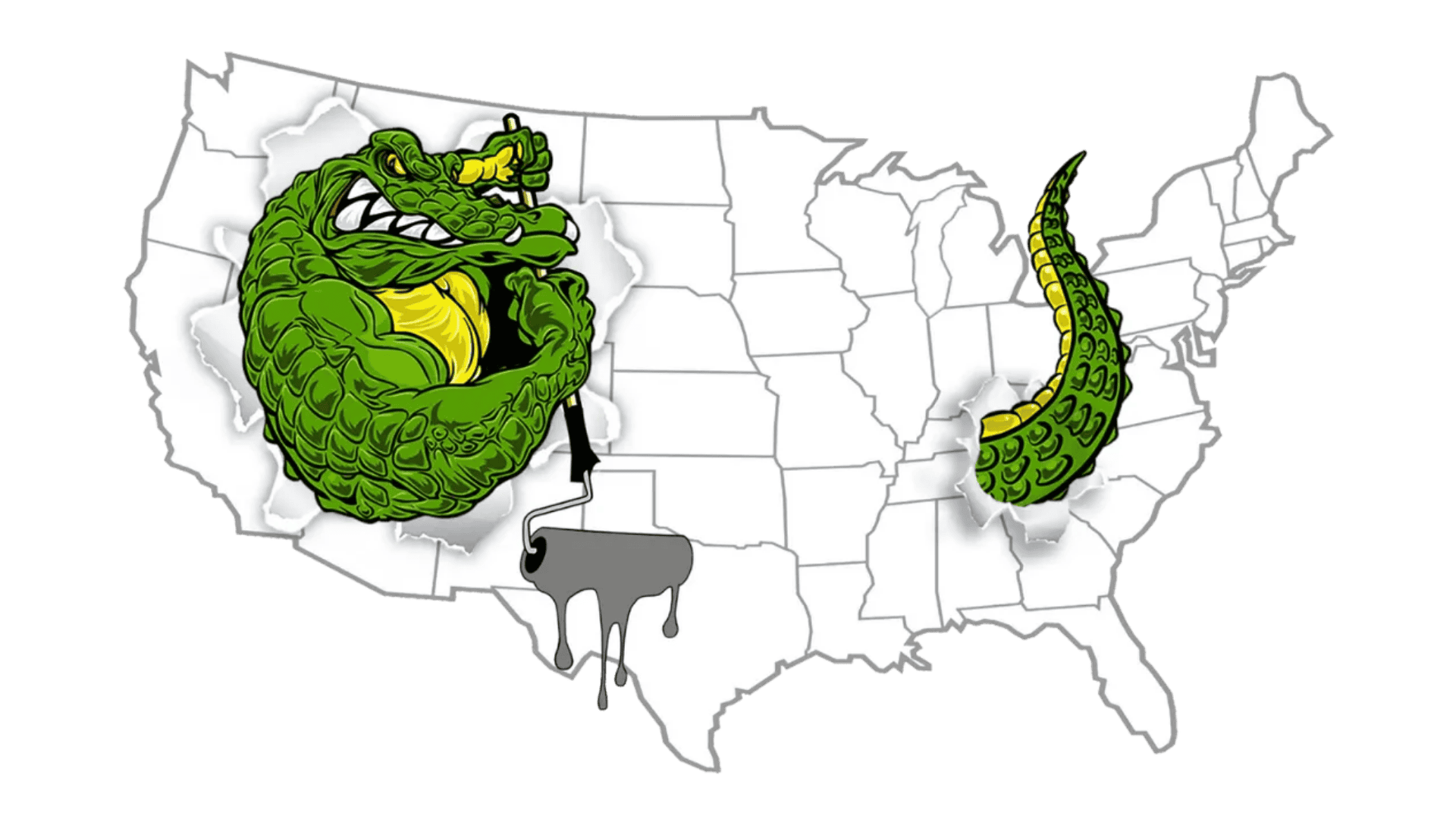 Map of the U.S. with a green alligator wrapping around states in the Midwest and a tail near the South.