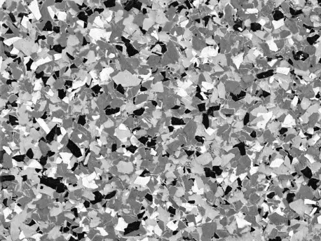 Monochromatic speckled floor with black, gray, and white flakes.