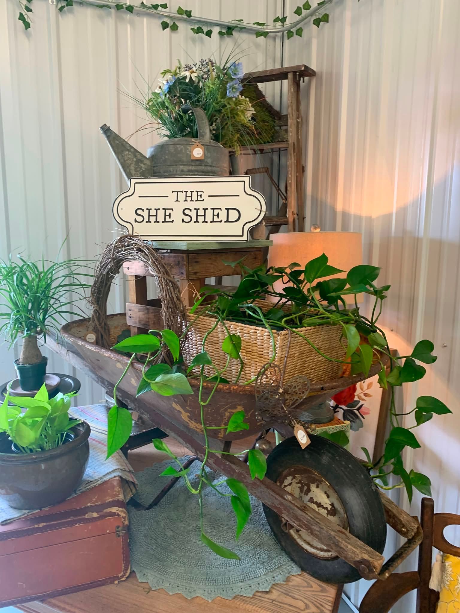 Rustic garden display with potted plants on a wheelbarrow and wooden shelf in a cozy indoor corner