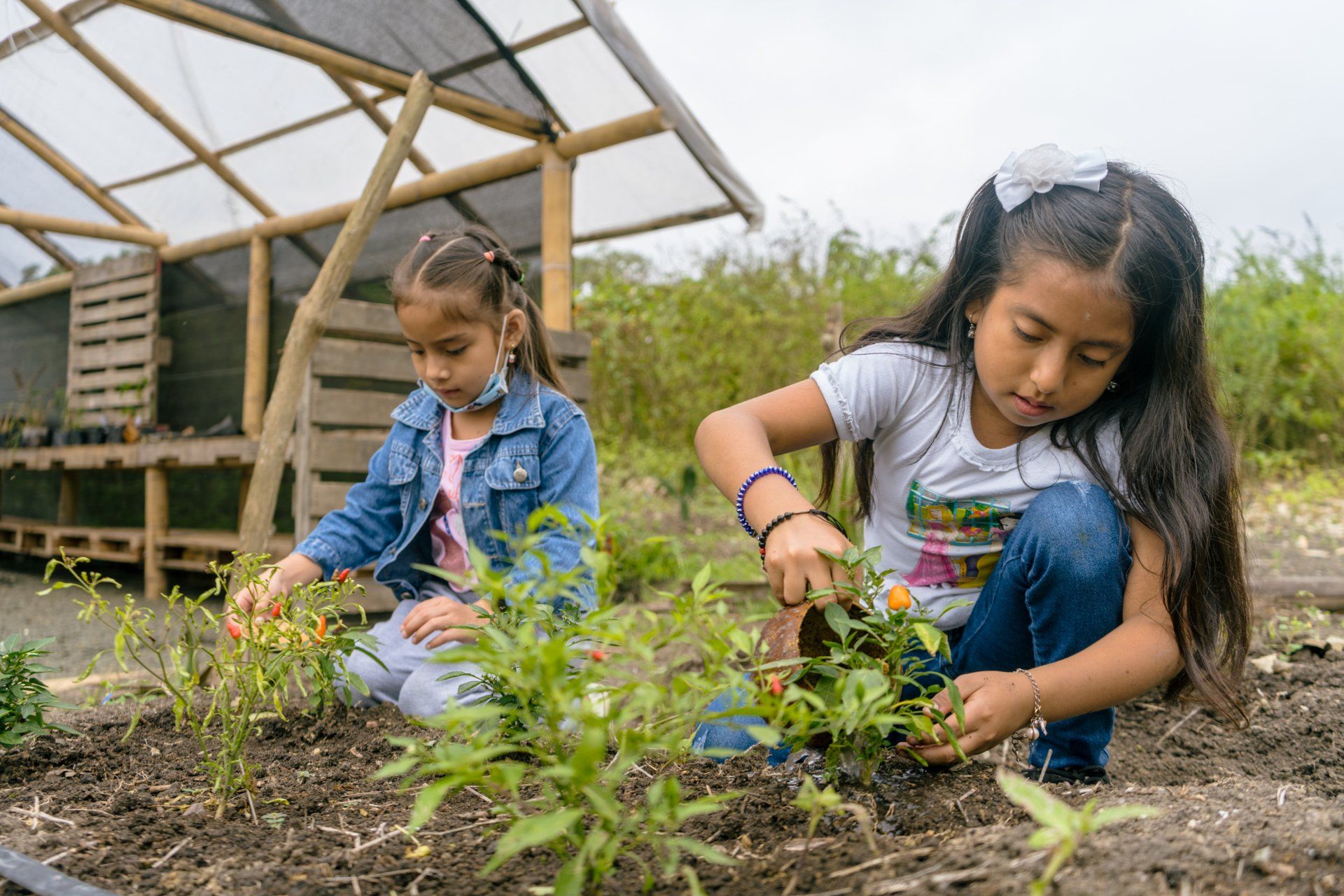 Two young girls tending a garden outdoors; greenhouse in the background.