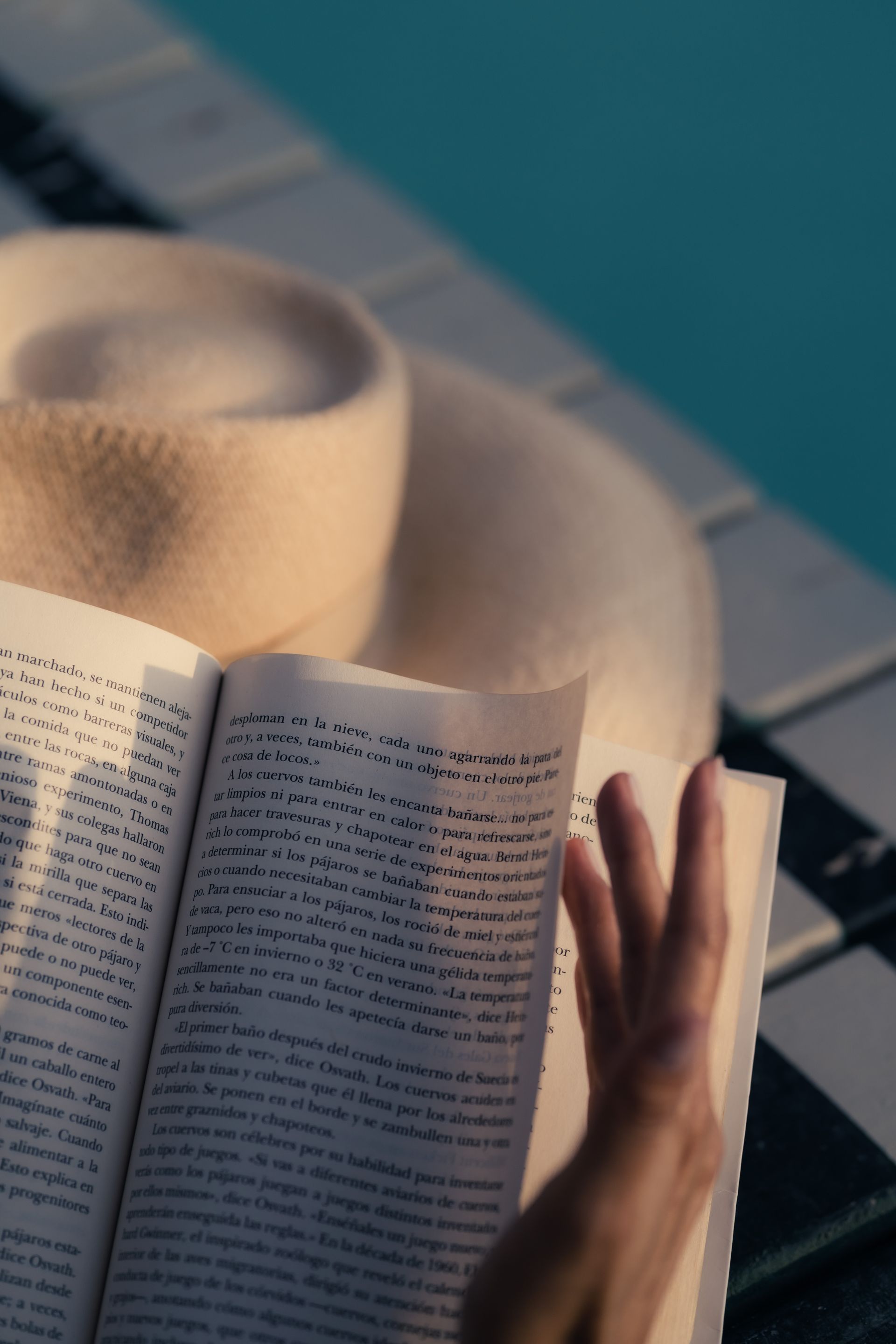 Open book, hat, and hand near pool, sunny day.