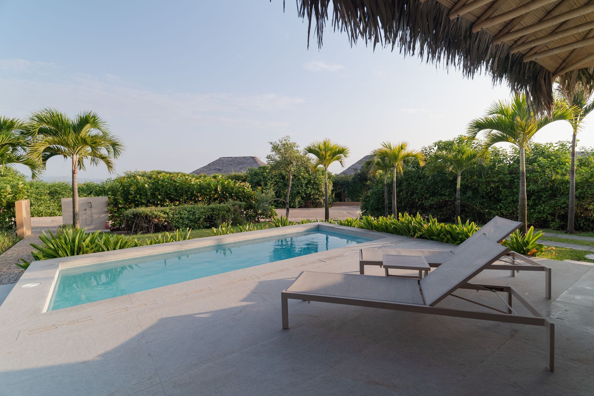 Poolside scene with a lounge chair, palm trees, and greenery.