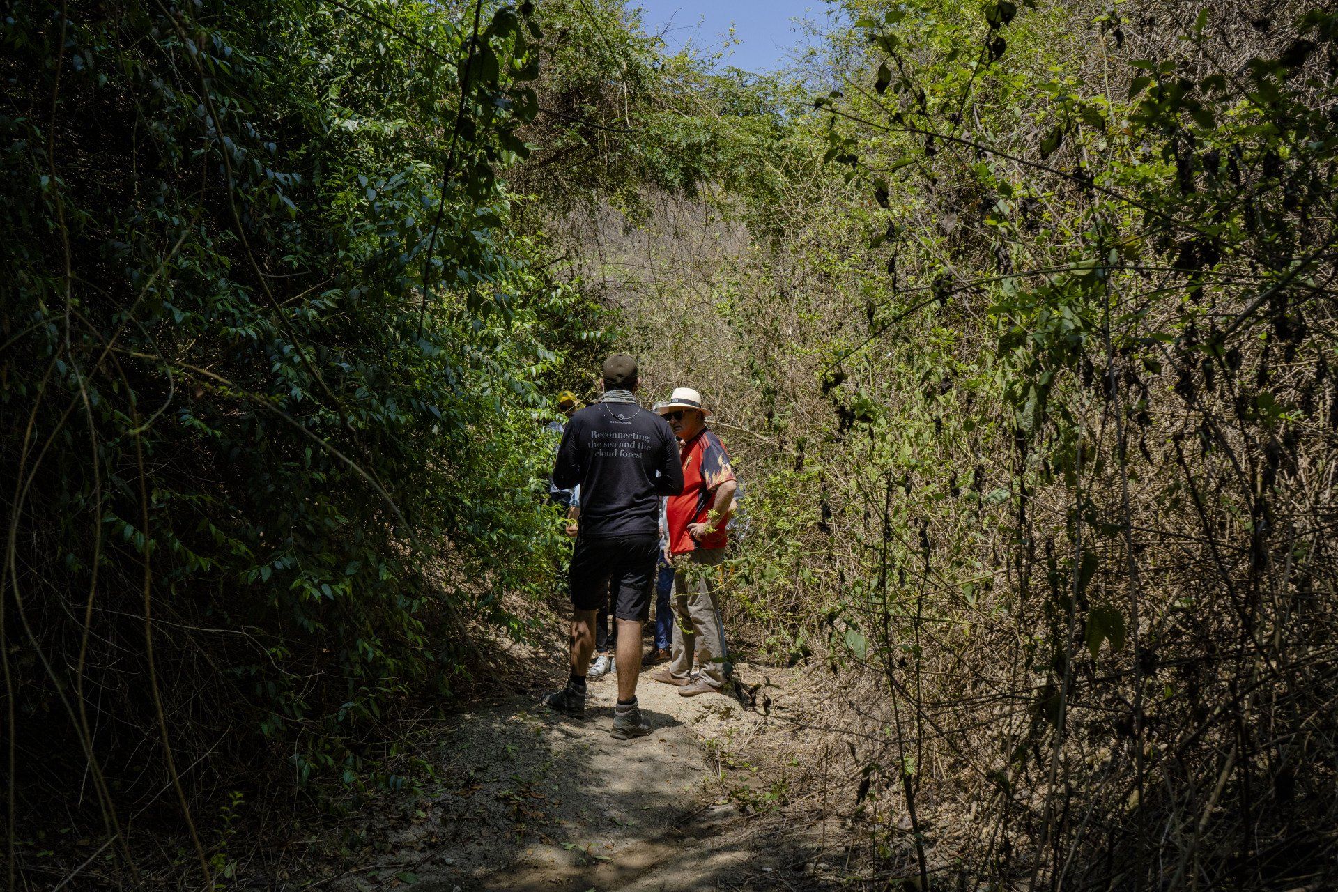 Two people walking on a path through dense green and brown foliage. Sunny day.