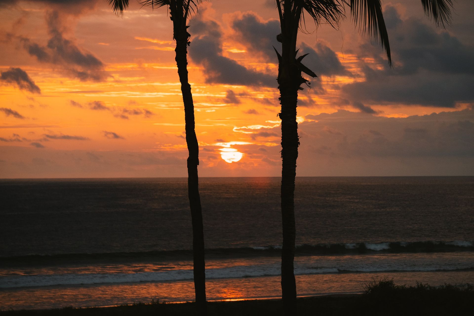 Sunset over ocean, framed by silhouetted palm trees, orange sky, waves.