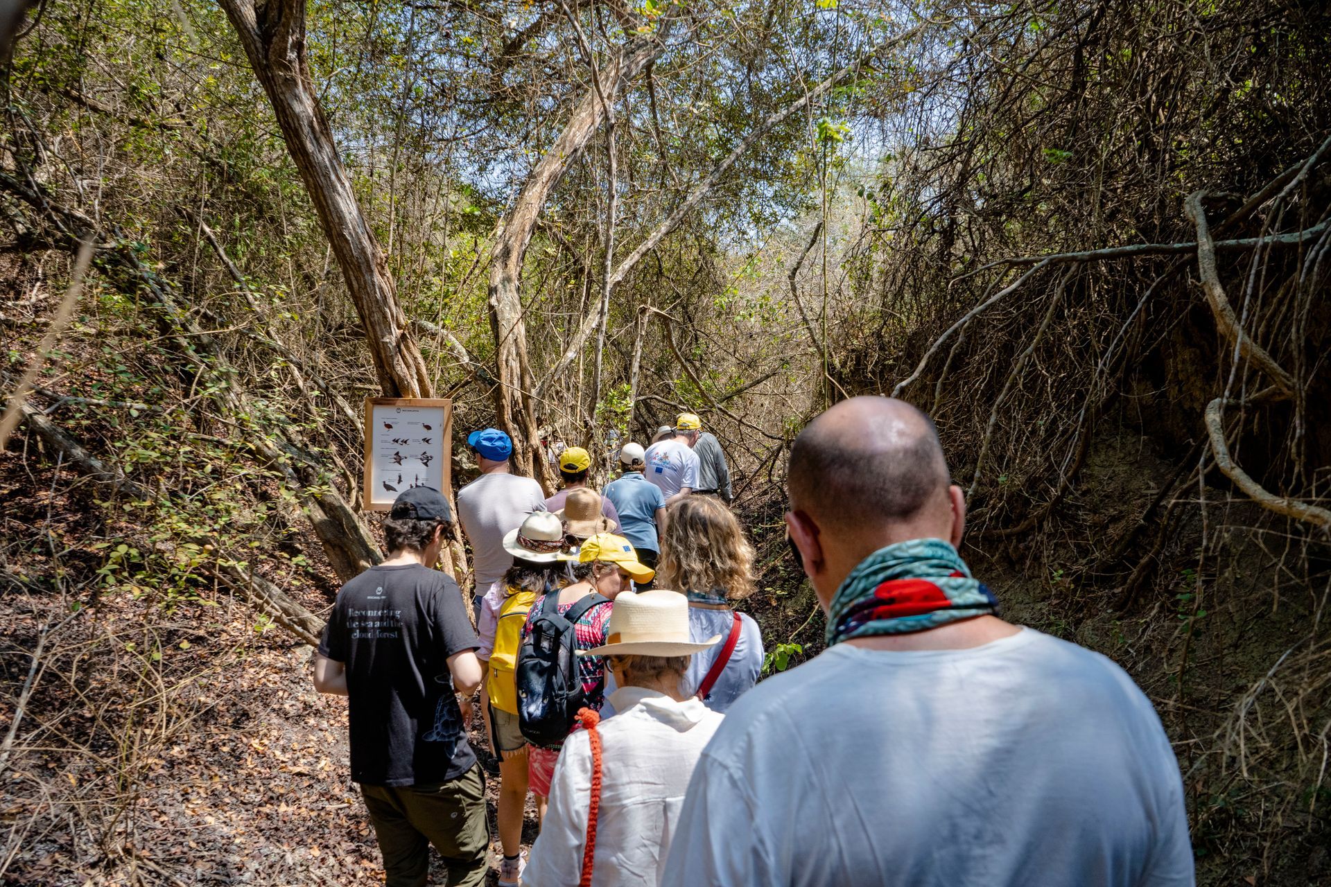 Group of people walking on a wooded path with a sign.