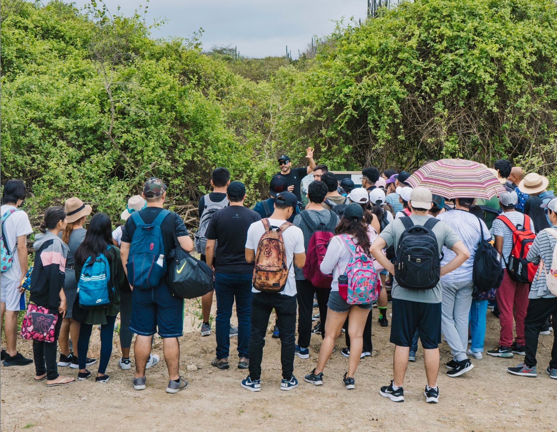 A group of people outdoors, looking toward the trees; a guide speaks to the group.
