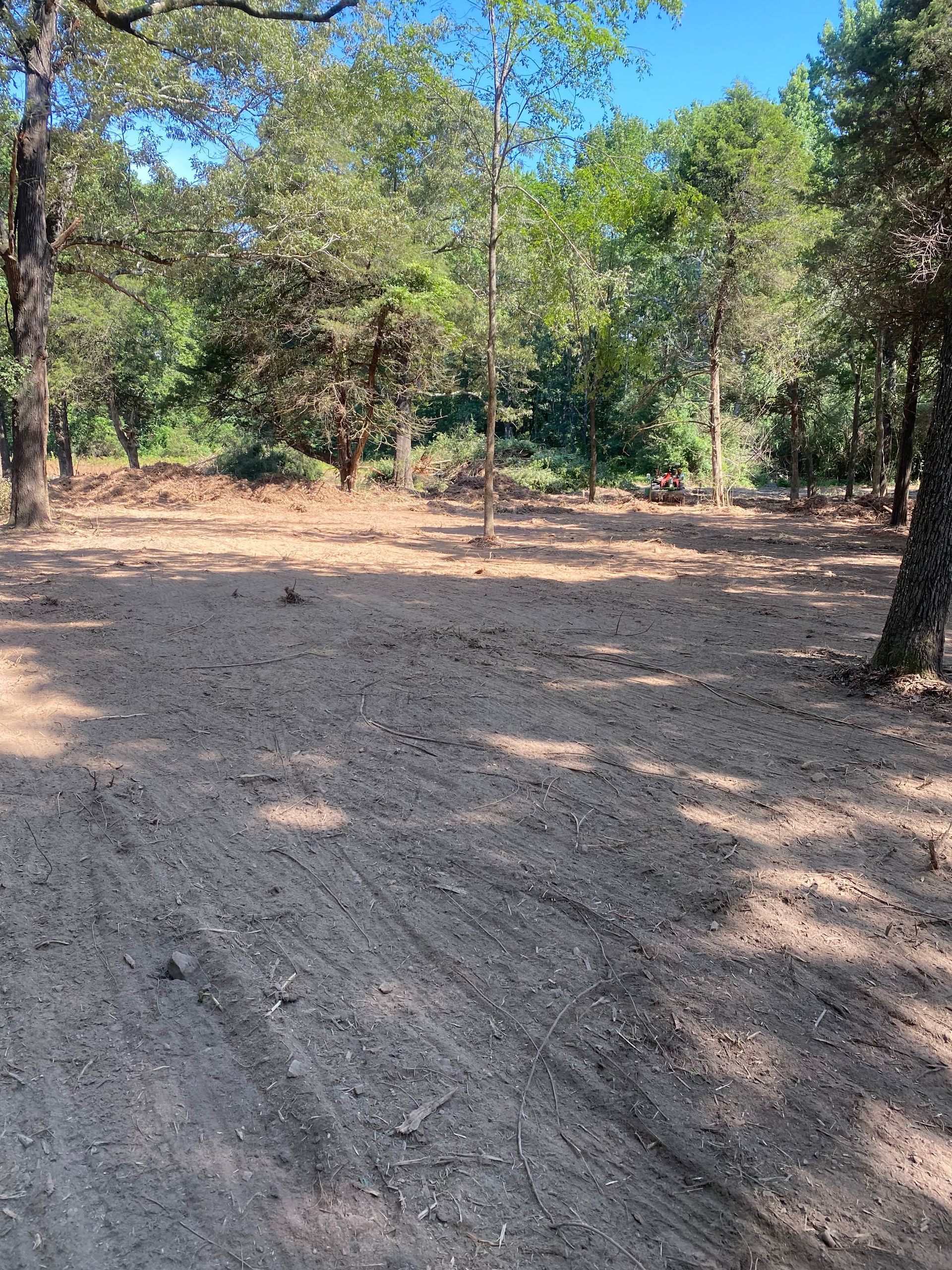 After Mulching