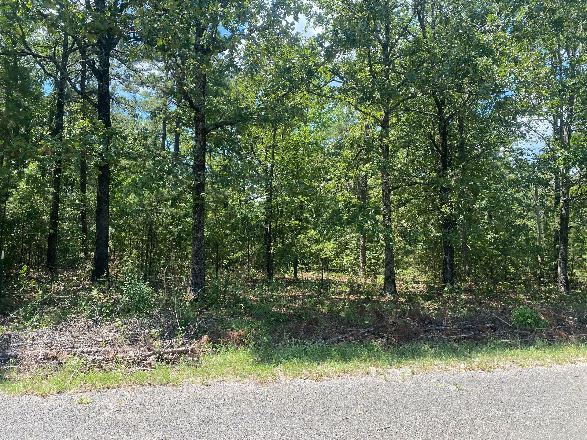 Before Mulching