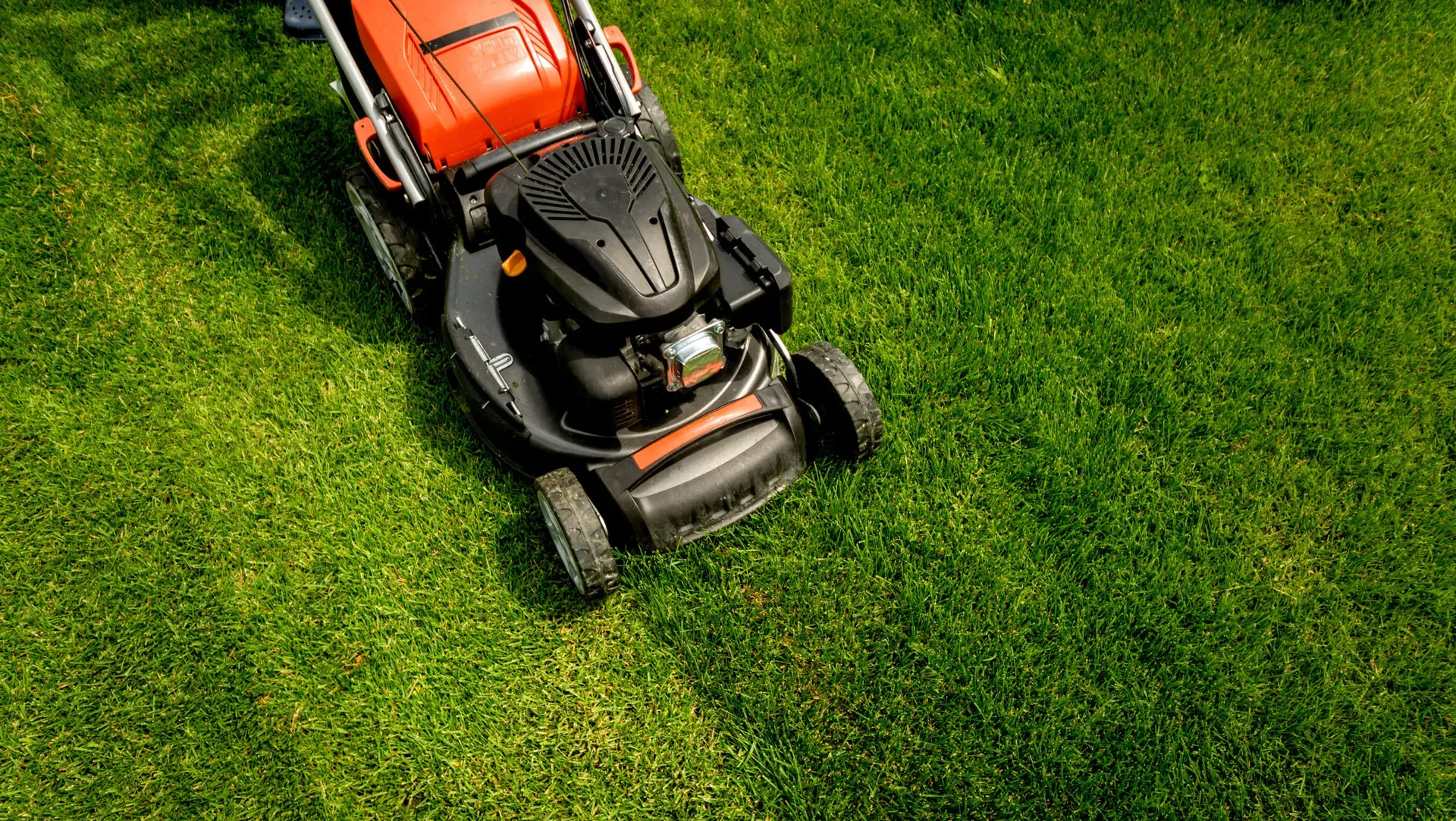 Lawn upkeep services in Searcy Lawn upkeep services in Searcy