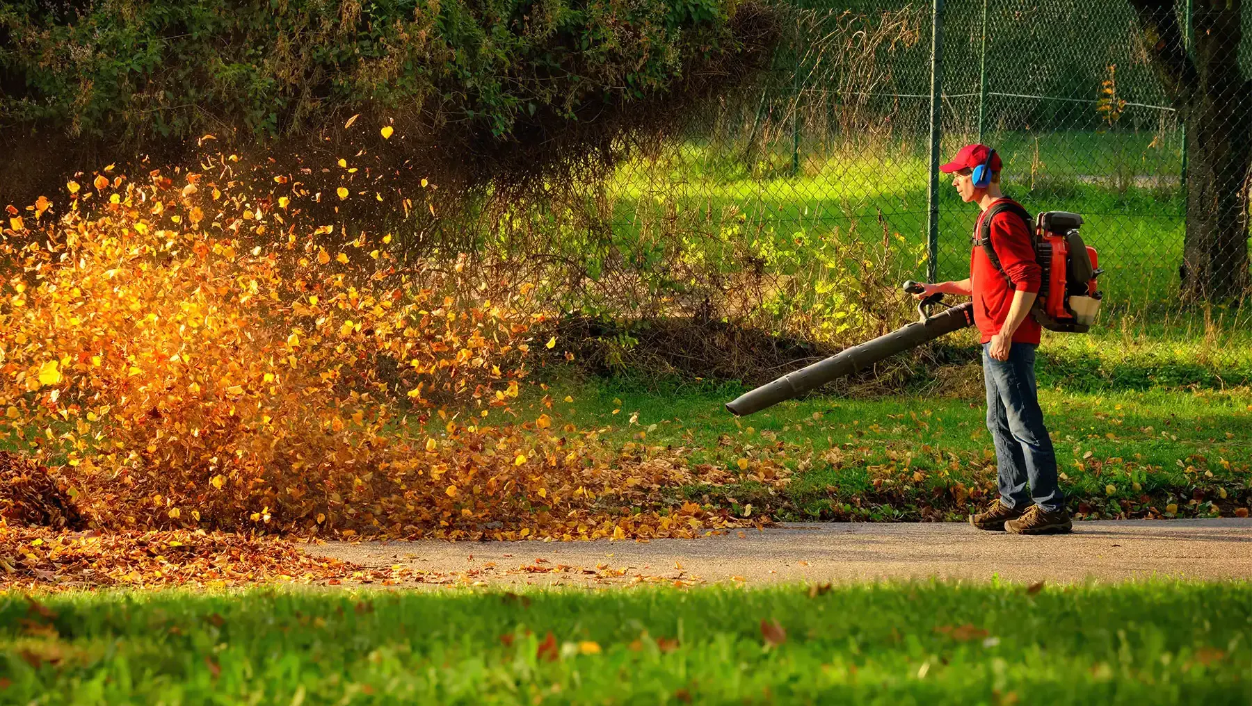 Leaf removal company in Searcy Leaf removal company in Searcy
