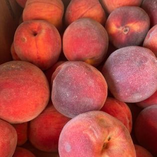 Close-up of a box filled with ripe peaches, showing red and orange hues with a dusty texture.