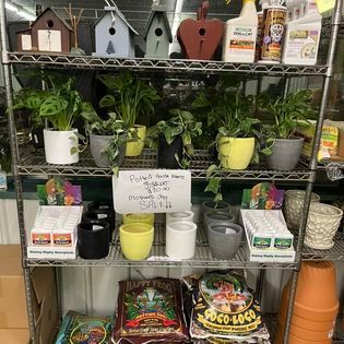 Shelves displaying plants in pots, gardening supplies, and birdhouses.