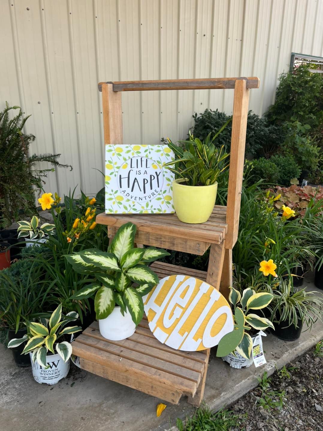 a wooden shelf filled with potted plants and a sign that says `` hello '' .