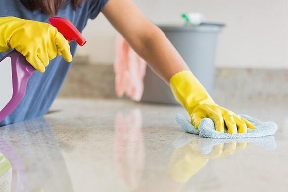 CLEAN LYNE - quita manchas