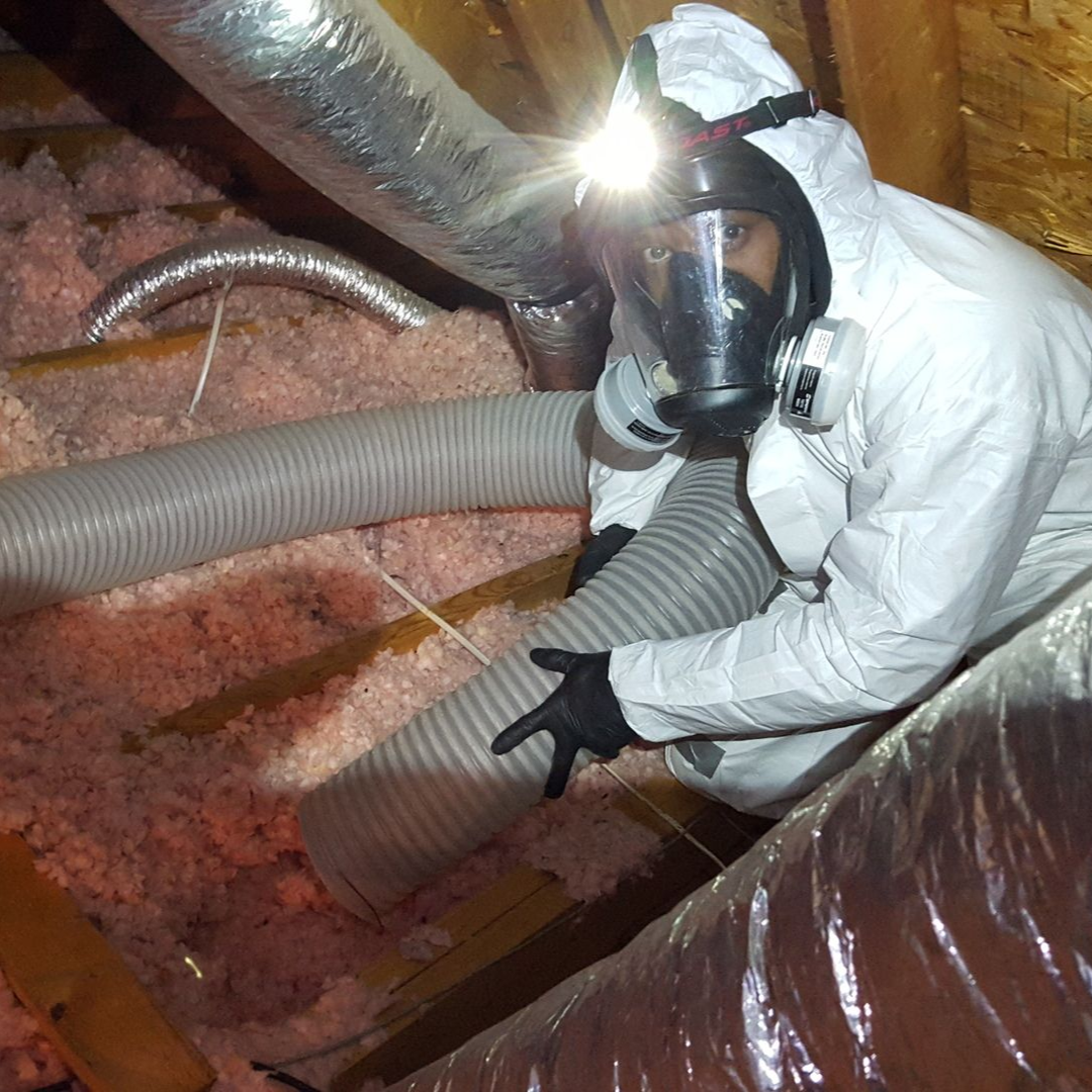 A person in a white hazmat suit and respirator working with flexible ductwork in an attic filled with pink insulation.