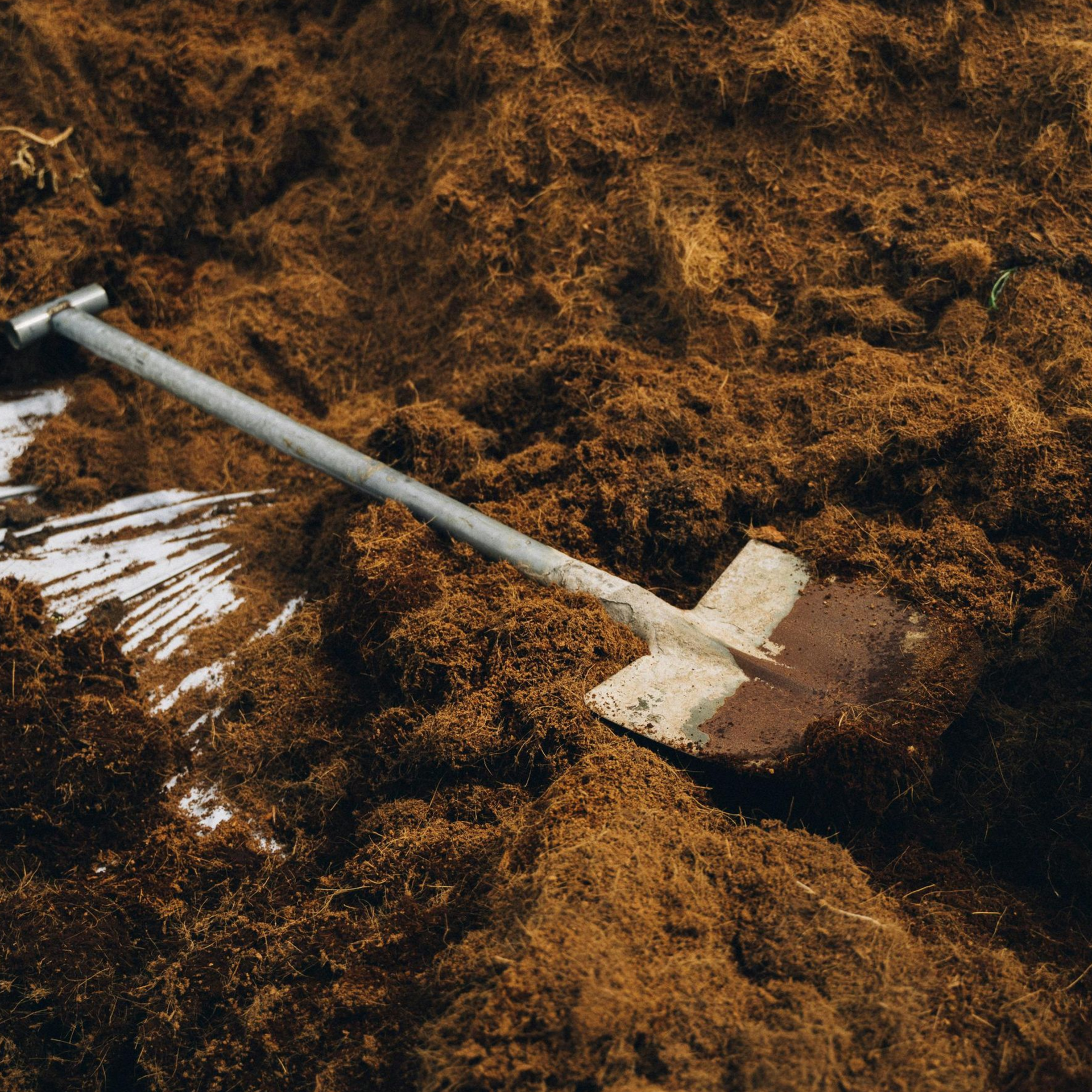 A shovel resting in a pile of brown soil.