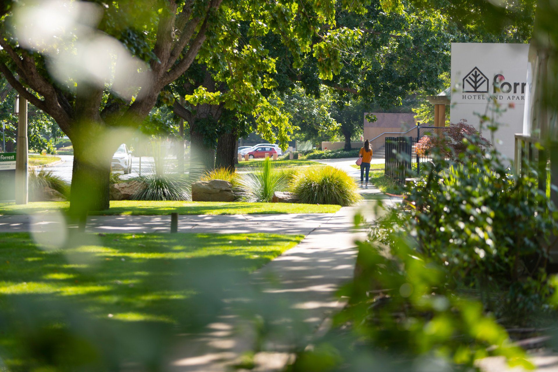 Sunny landscaped walkway beside a building with trees, bushes, and a sign in the background