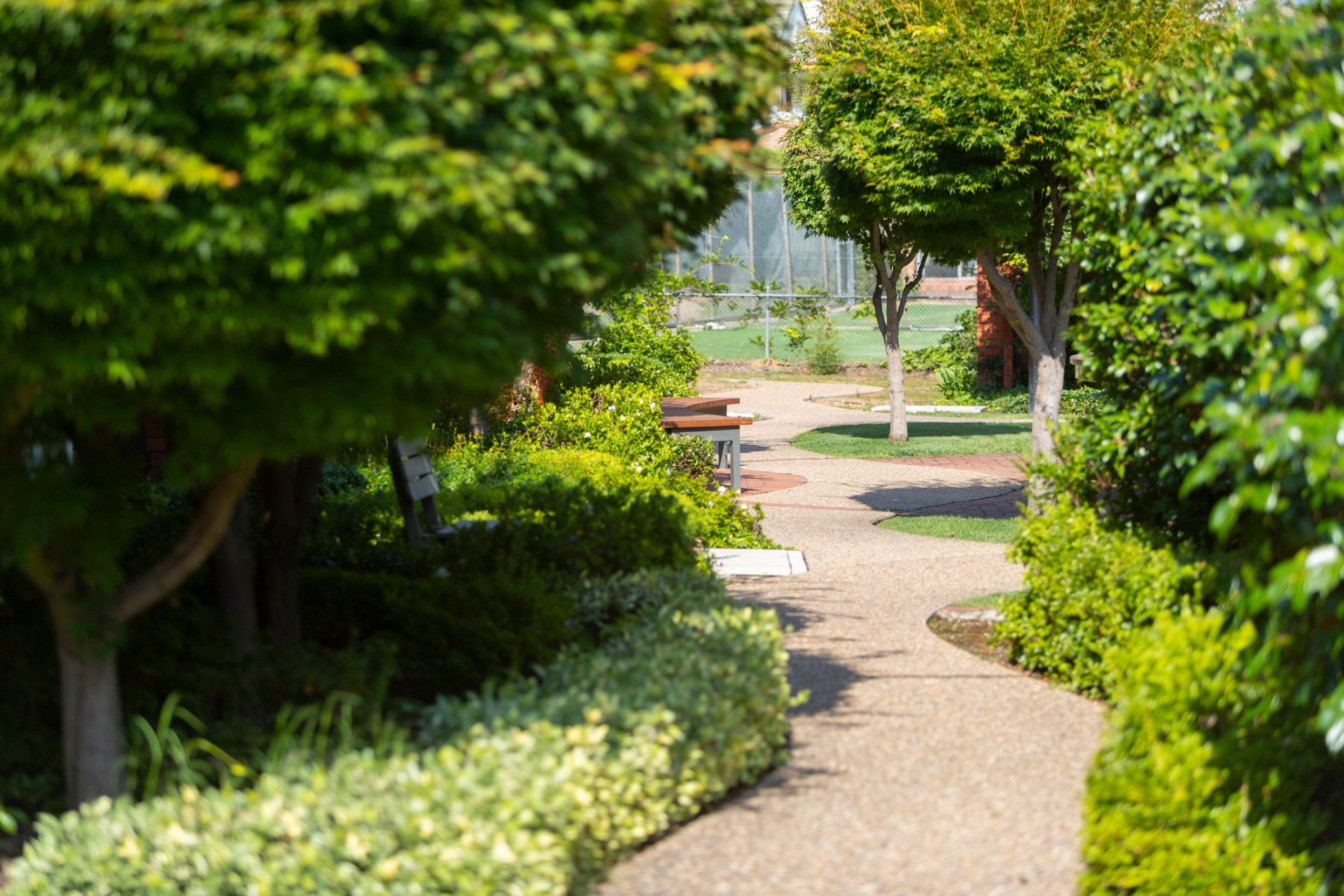 Tree-lined garden path with lush green bushes and benches in the background