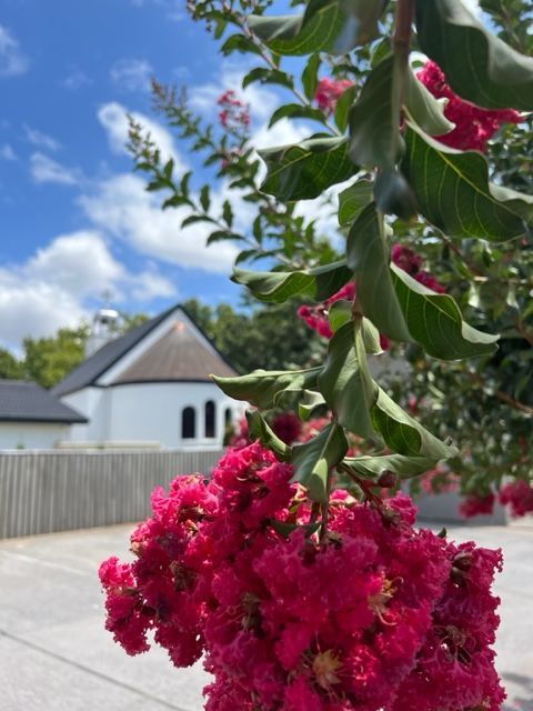 Flowers are blooming at Forrest 