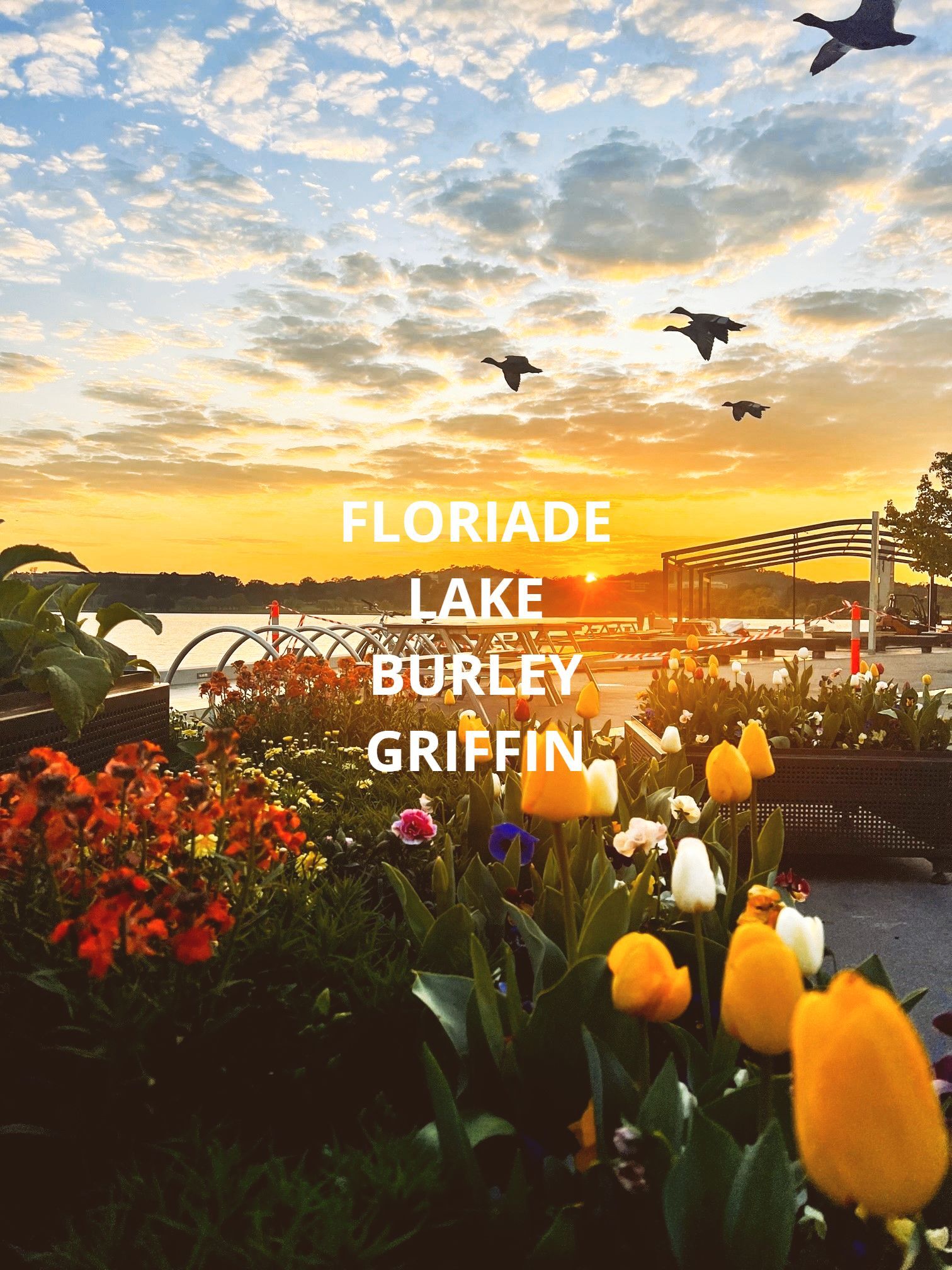 Floriade IS Flowering