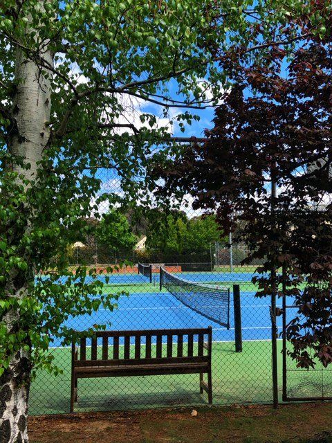 Bench by a chain-link fence overlooking a blue tennis court framed by trees and green grass