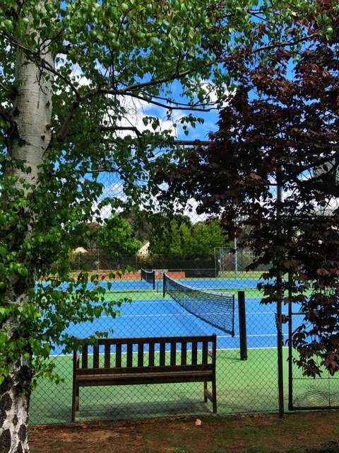 Bench by a fenced outdoor tennis court, framed by leafy trees and blue sky.