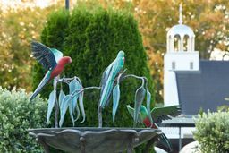 King parrot sculpture in the garden at Forrest Hotel and Apartments  