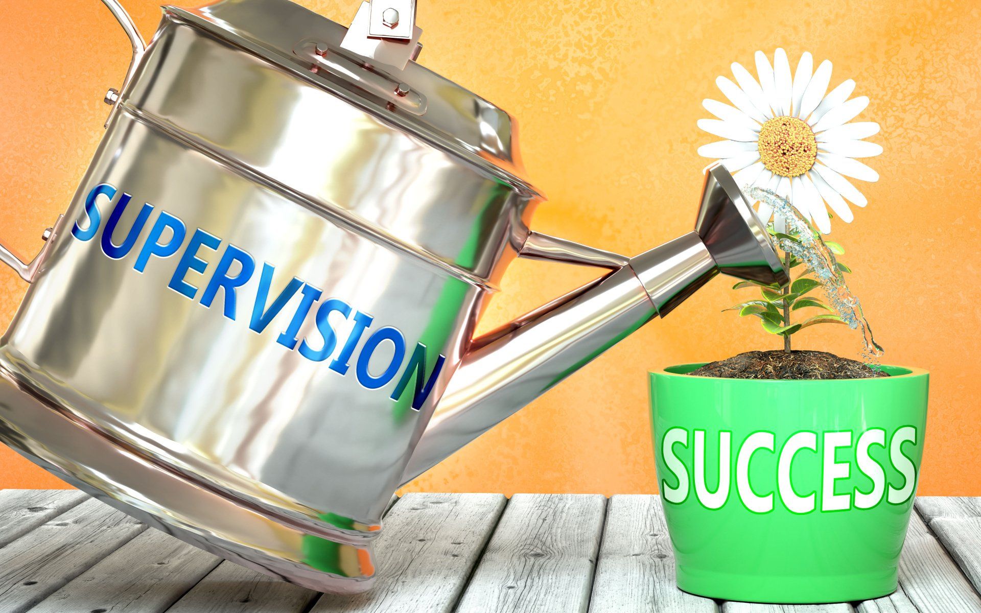 Supervision Health & Social Care
