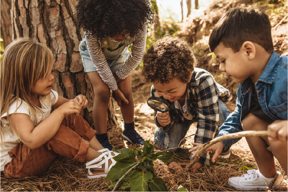 Eine Gruppe Kinder betrachtet eine Pflanze durch eine Lupe.