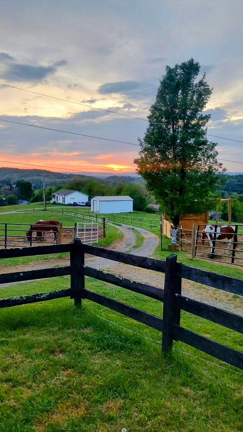 Sunset over a grassy farmyard with black fence, tall tree, and string lights against a pastel sky