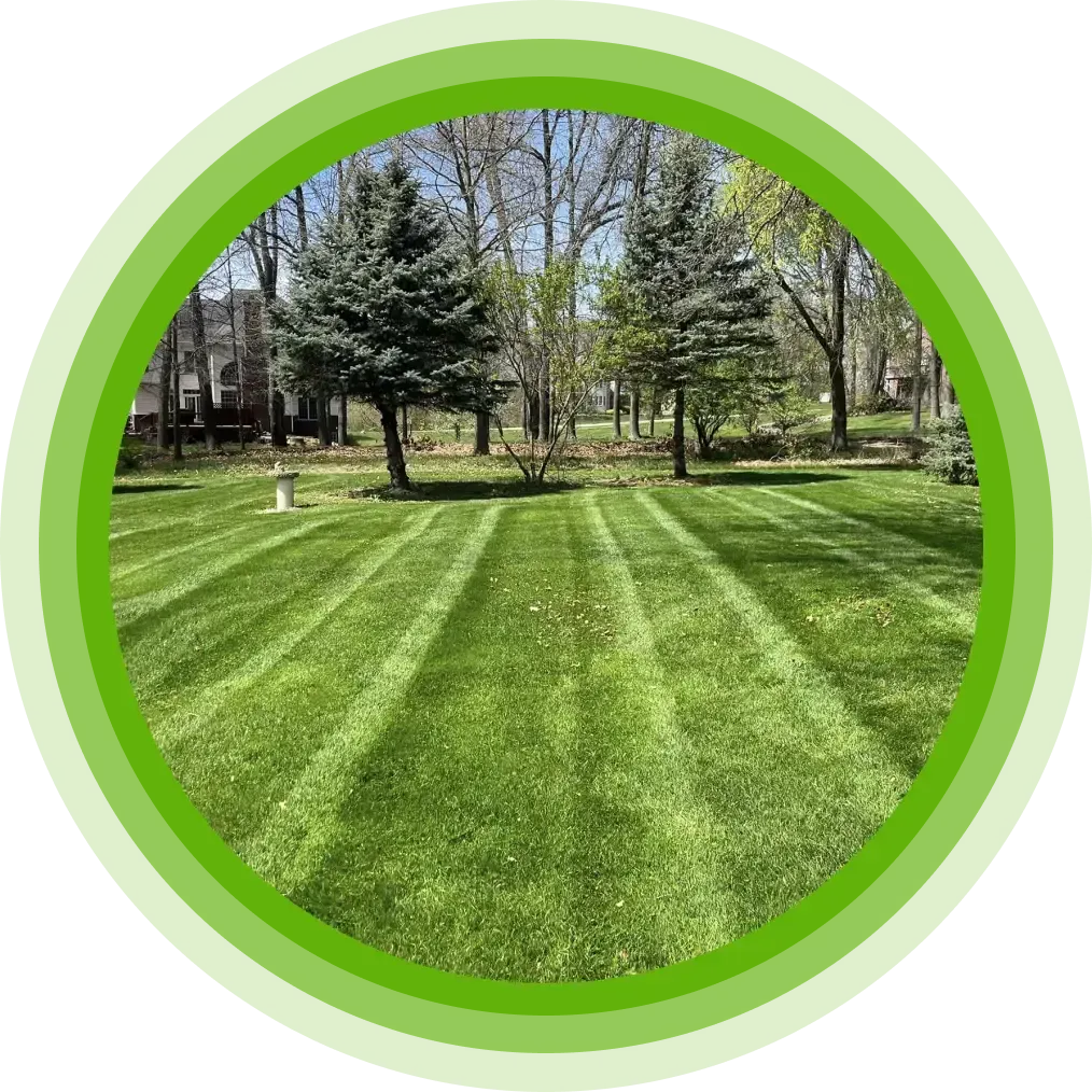 green lawn