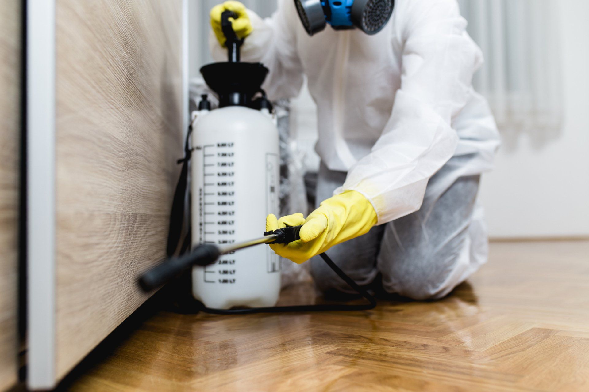 Woman Exterminator In Work Wear Spraying Pesticide - Harrison, AR - Pest-X Woman Exterminator In Work Wear Spraying Pesticide - Harrison, AR - Pest-X