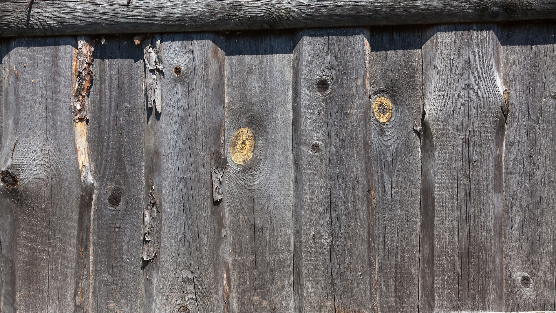 Deck Staining Services