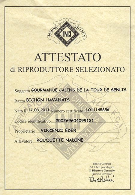 attestato