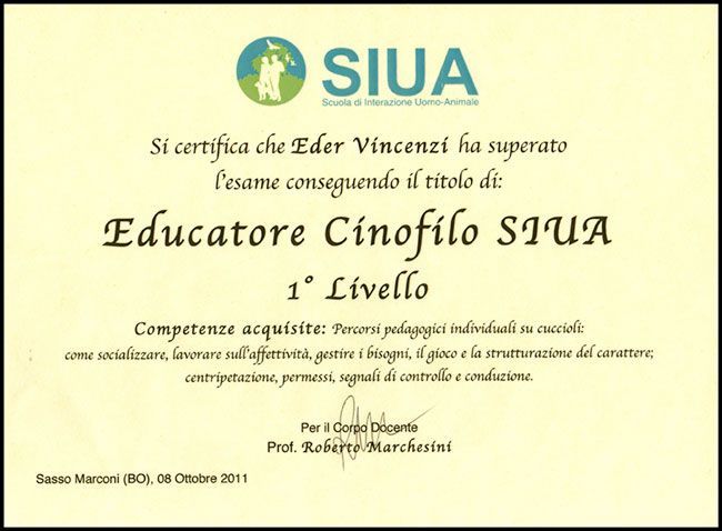 attestato