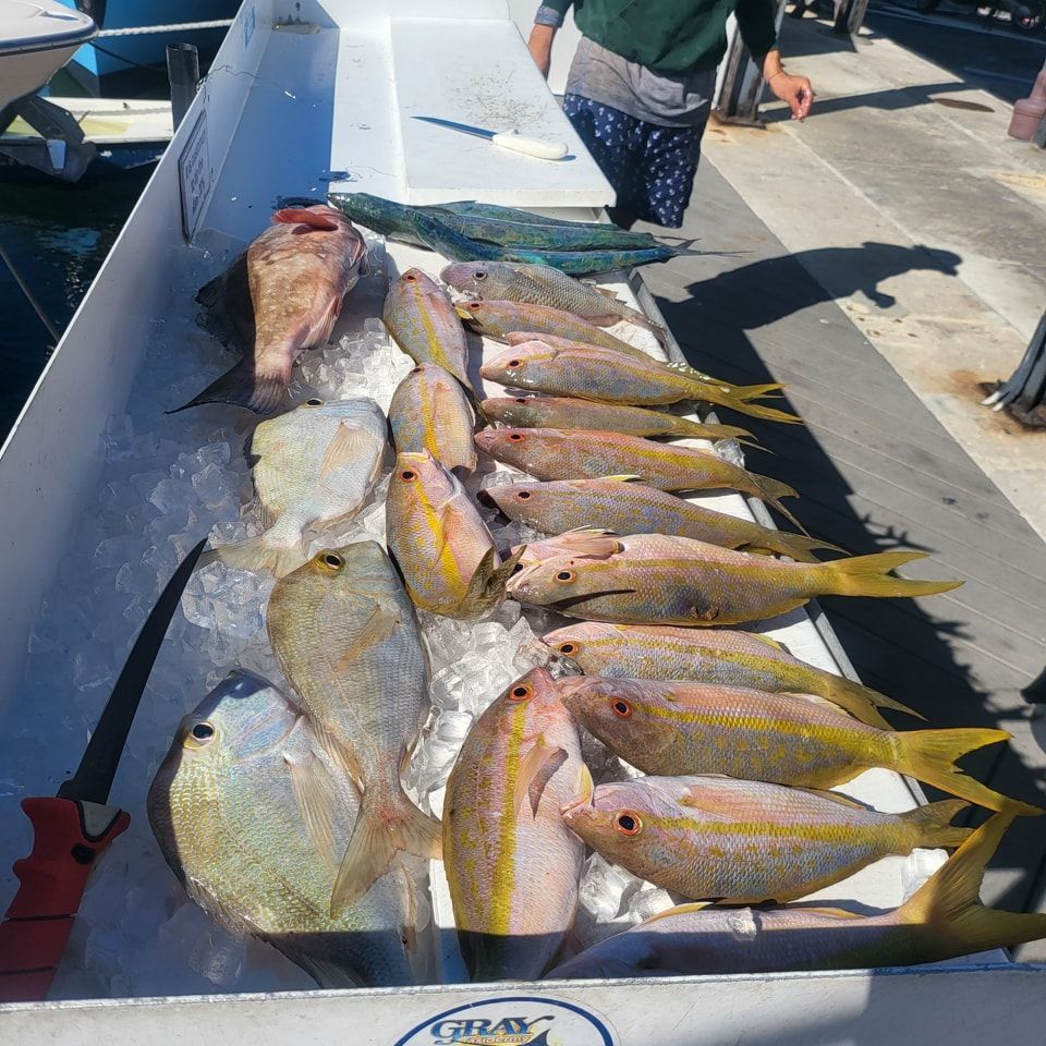A cleaning station holding various fresh-caught fish on ice, with a knife and a person standing in the background.