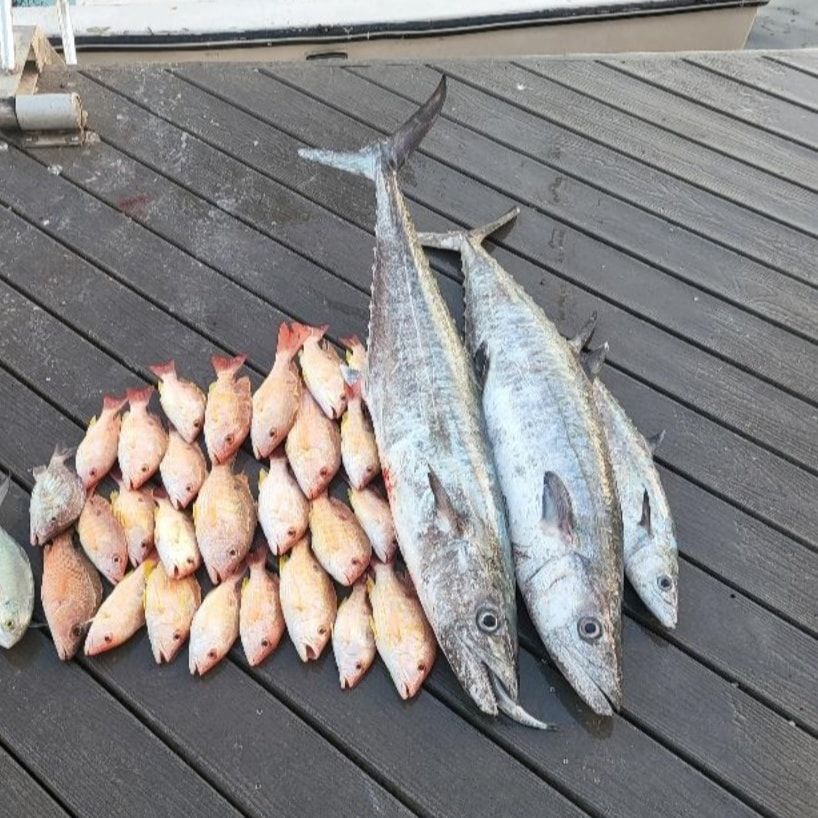 Two large mackerels rest on a wooden dock beside a collection of smaller red snappers.