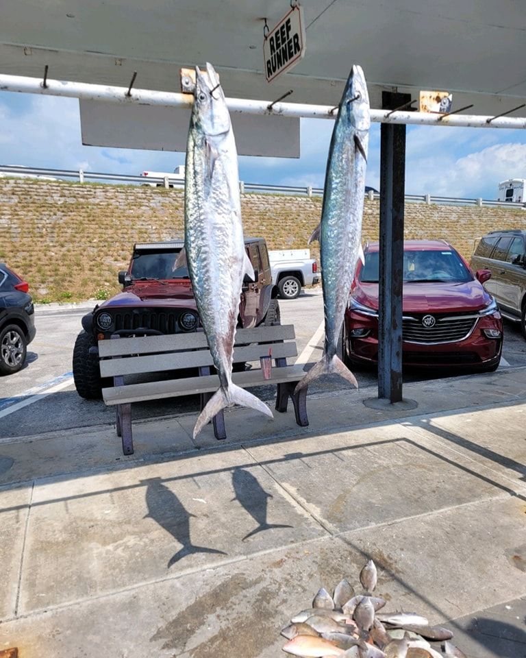 Two large, silver fish hang from a metal pole in front of cars parked in a sunny, outdoor lot with smaller fish below.