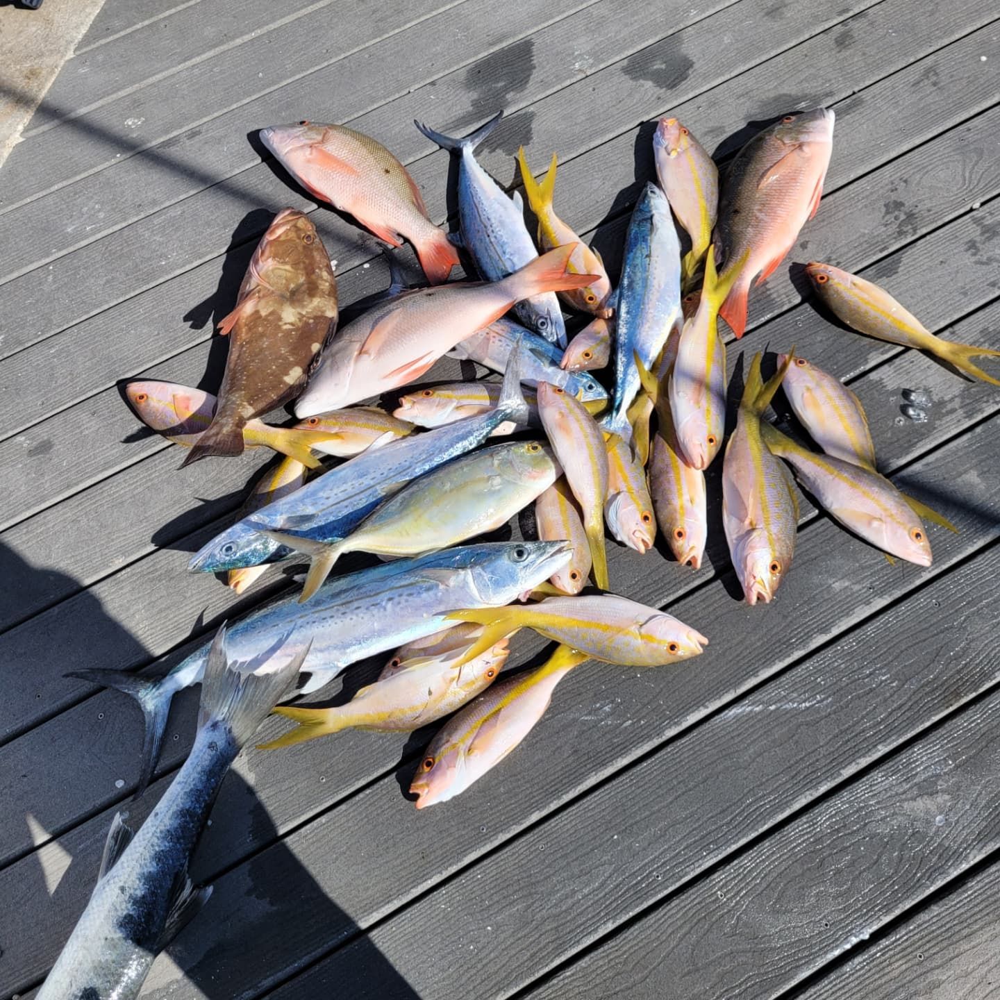 A large pile of freshly caught mixed fish, including snappers and mackerel, lying on gray wooden deck planks.