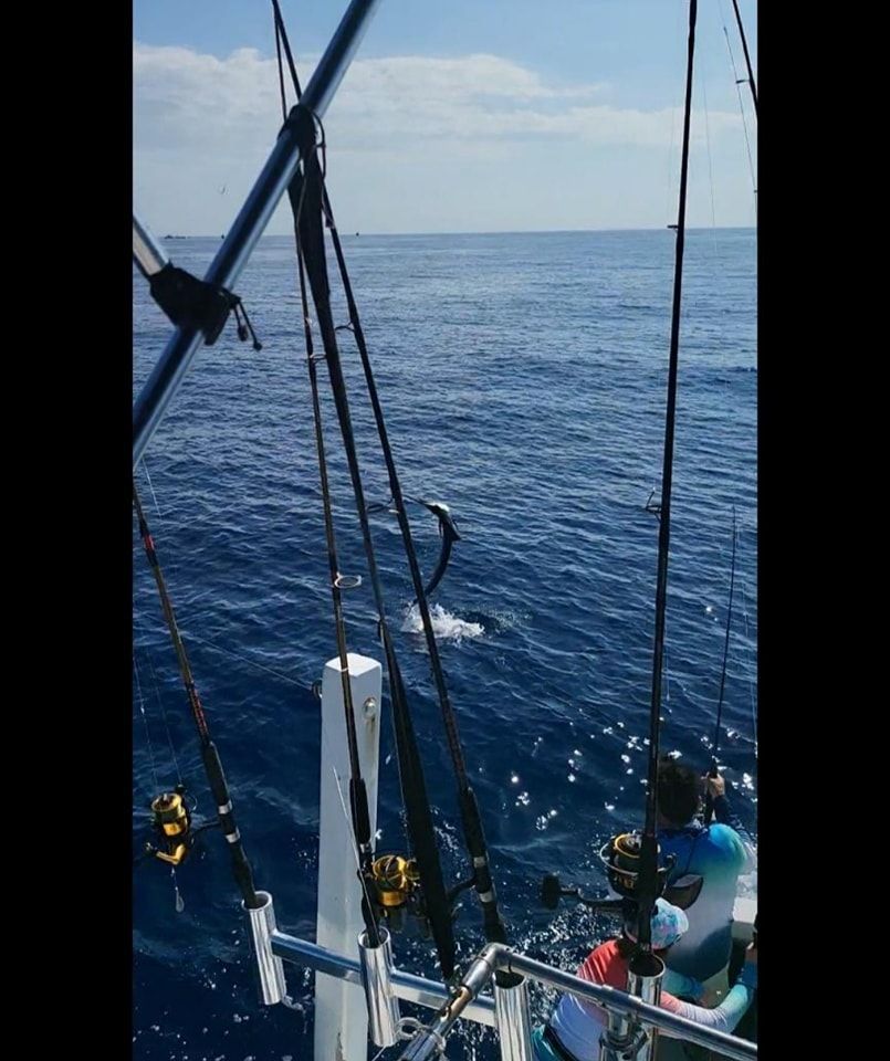 A small fish leaps above the blue ocean water near a boat deck equipped with several fishing rods.
