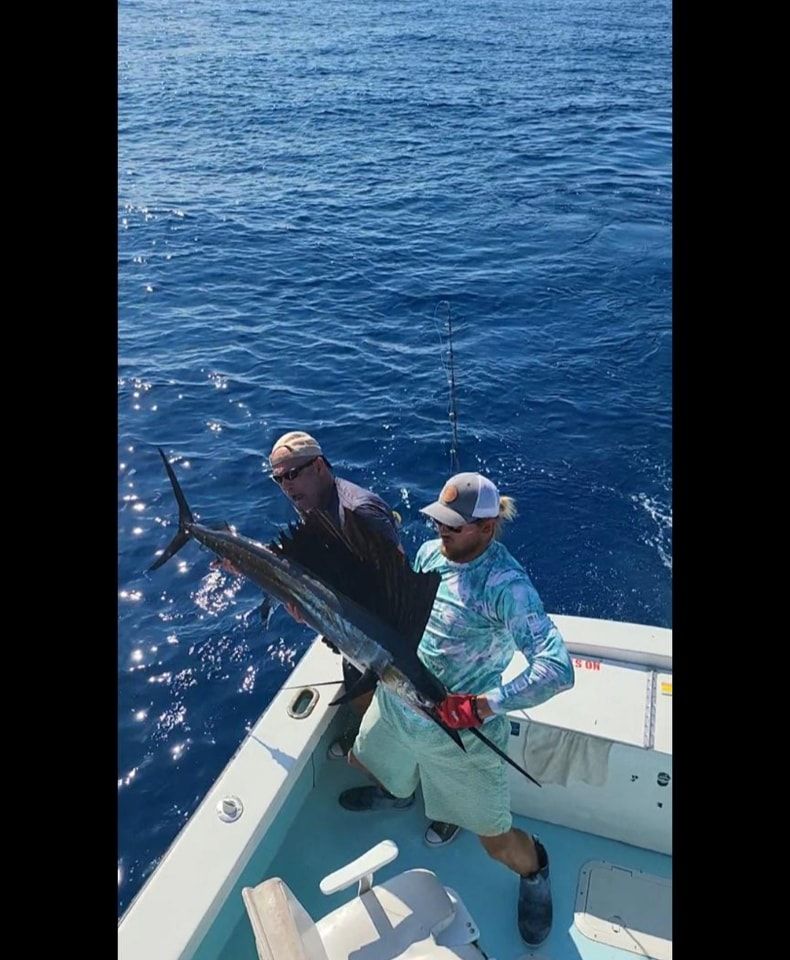 Two people on a boat deck hold a large marlin over the side of the vessel above deep blue ocean water.