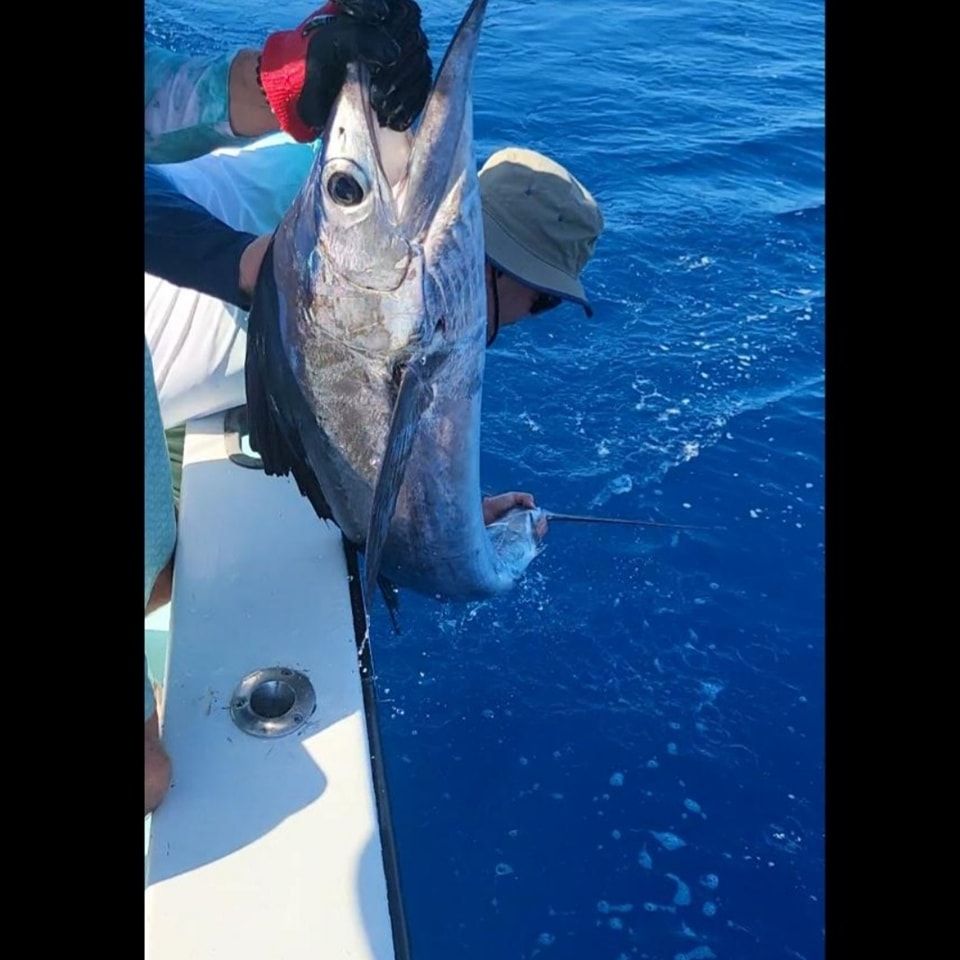 An angler wearing gloves holds a sailfish by its bill over the side of a boat above deep blue water.